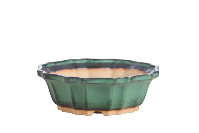 6.5-Inch Flower Bonsai Pot - Avocado