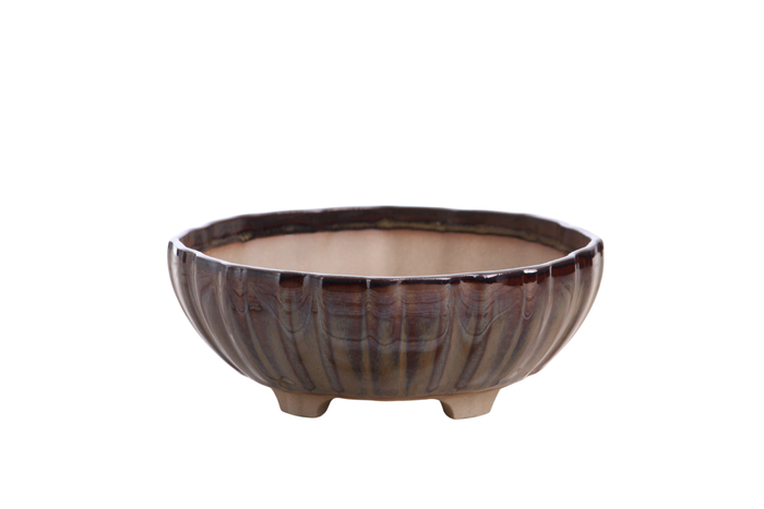 7-Inch Lily Bonsai Pot - Dark Honey