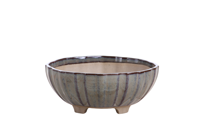 6-Inch Lily Bonsai Pot - Starry Night