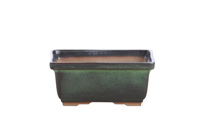 5-Inch Rectangle Deep Bonsai Pot - Avocado