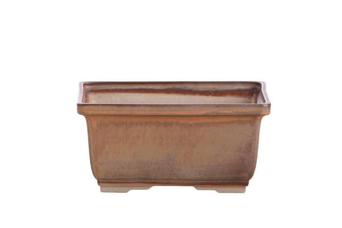 6-Inch Rectangle Deep Bonsai Pot - Deep Stone