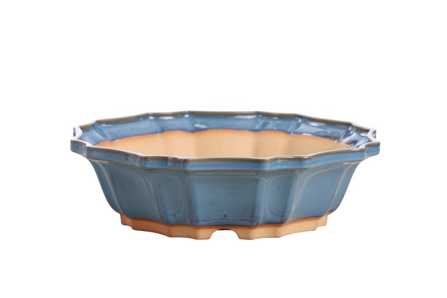 10-Inch Flower Bonsai Pot - Peacock 2025