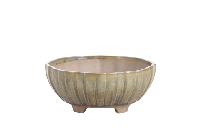 6-Inch Lily Bonsai Pot - Copenhagen