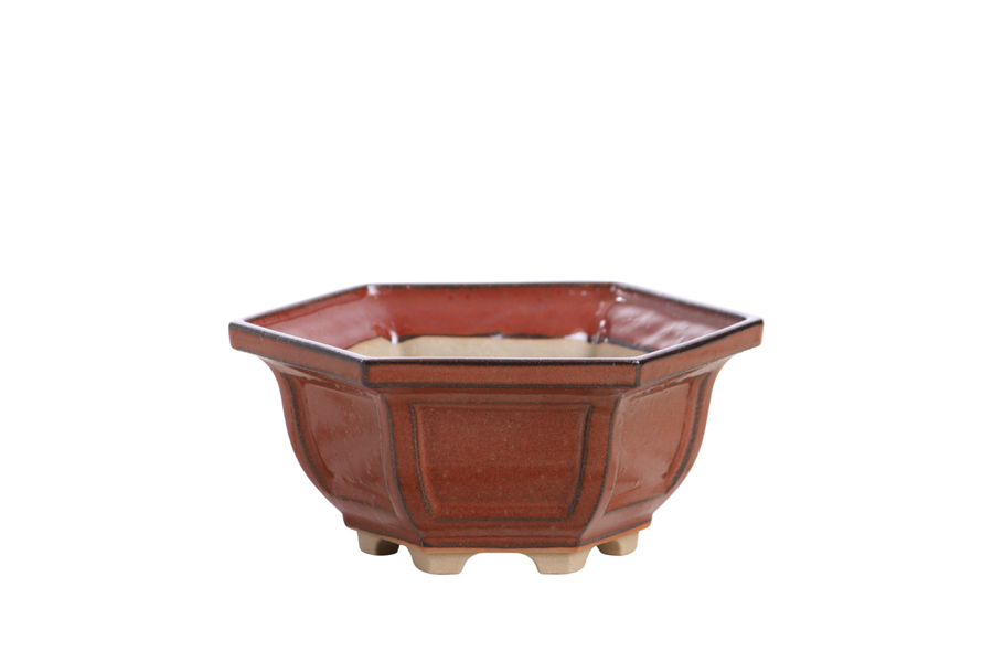 5-Inch Hexagonal Windowed Bonsai Pot - Sunset
