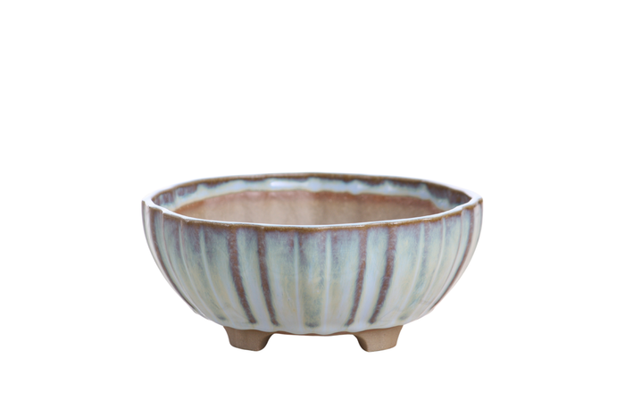 6-Inch Lily Bonsai Pot - Glacier