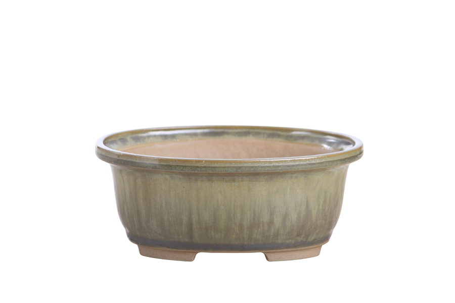 6.5-Inch Fat Oval Bonsai Pot - Copenhagen