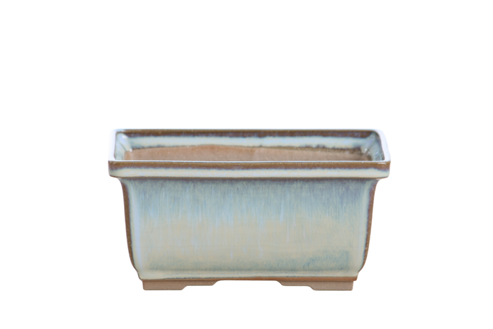 6-Inch Rectangle Deep Bonsai Pot - Glacier