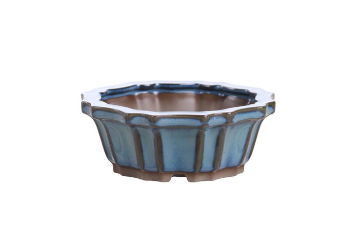 5-Inch Flower Bonsai Pot - Peacock 2025