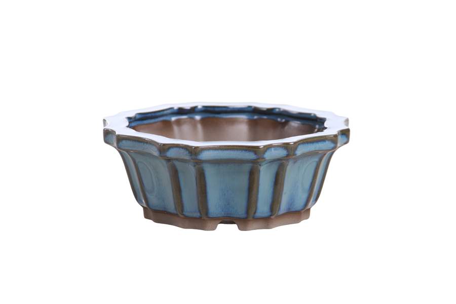 5-Inch Flower Bonsai Pot - Peacock 2025