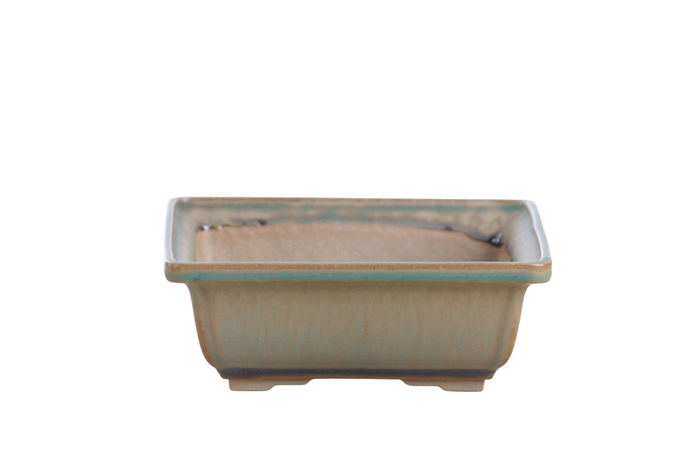 6-Inch Square Bonsai Pot - Speckled Moss