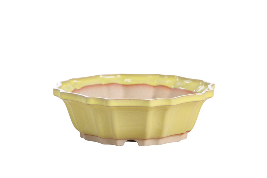 8-Inch Flower Bonsai Pot - Yellow