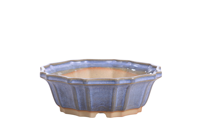 6.5-Inch Flower Bonsai Pot - Denim