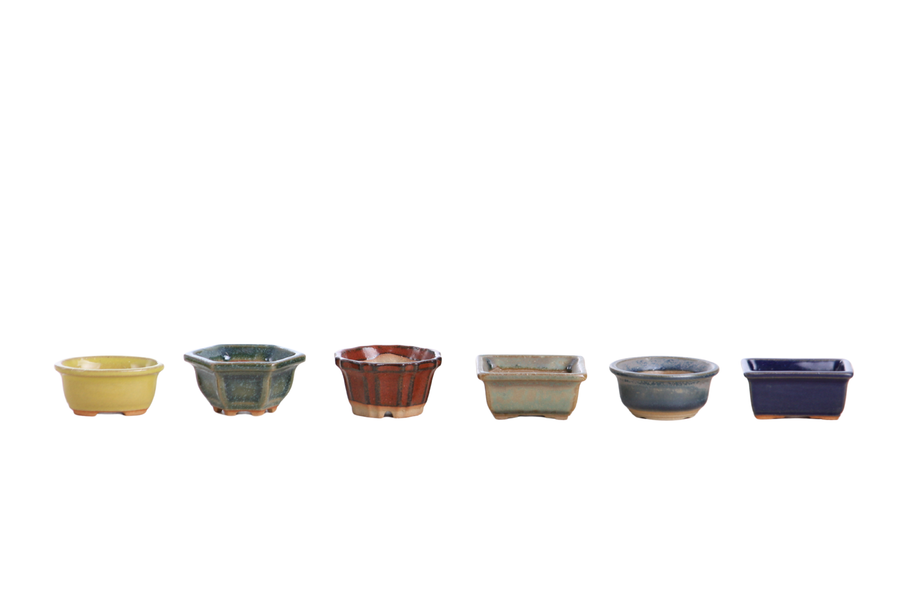 Mini Shito Bonsai Pots, 1.5 Inch - Set of 6, Set B