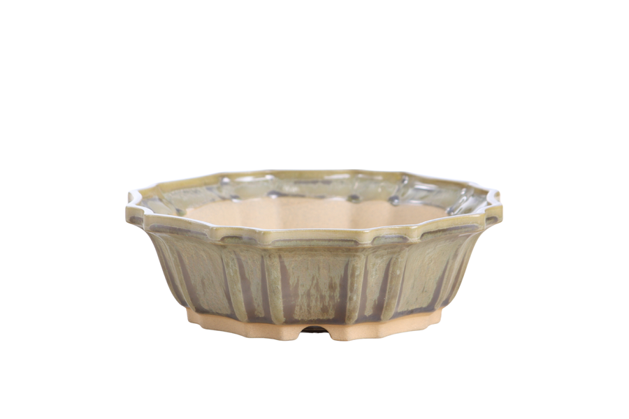 8-Inch Flower Bonsai Pot - Copenhagen