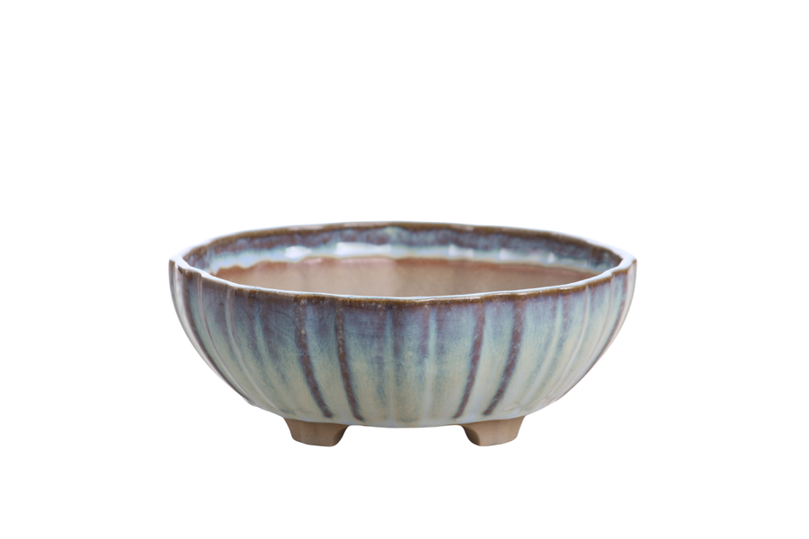 7-Inch Lily Bonsai Pot - Glacier