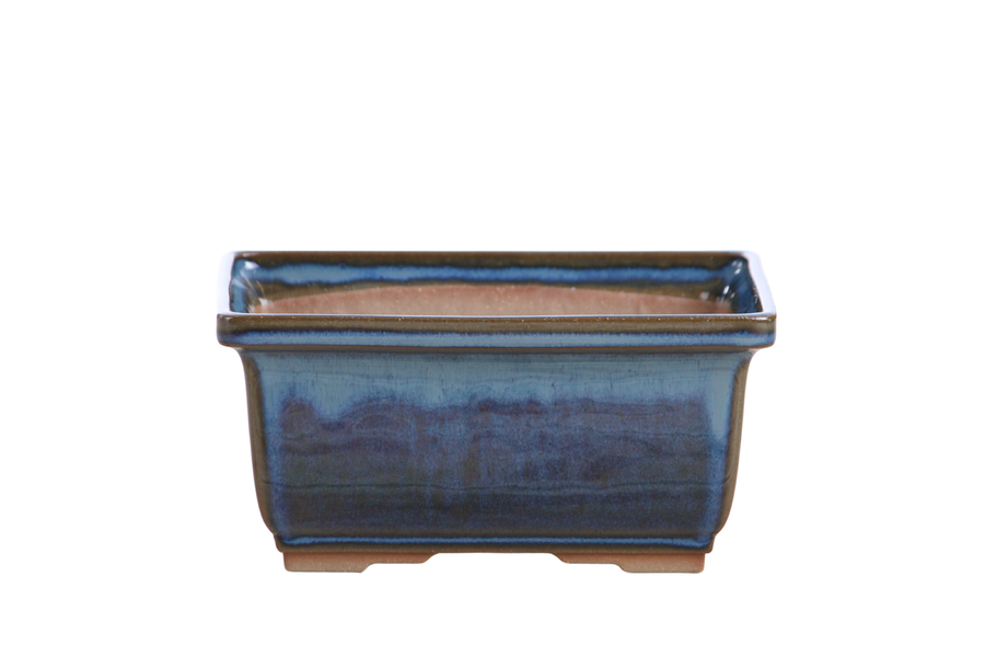 6-Inch Rectangle Deep Bonsai Pot - Peacock 2025