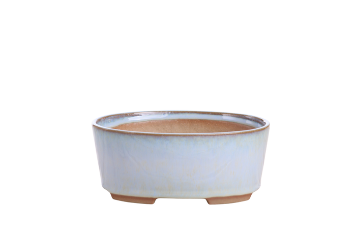 6-Inch Oval A Bonsai Pot - Glacier