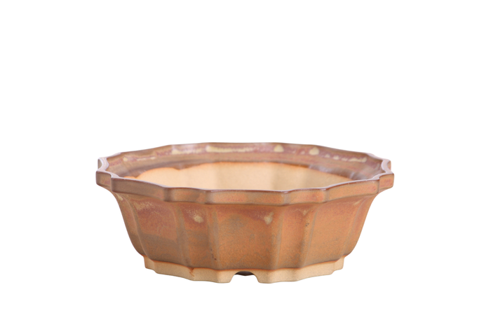 6.5-Inch Flower Bonsai Pot - Deep Stone
