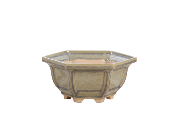 5-Inch Hexagonal Windowed Bonsai Pot - Copenhagen