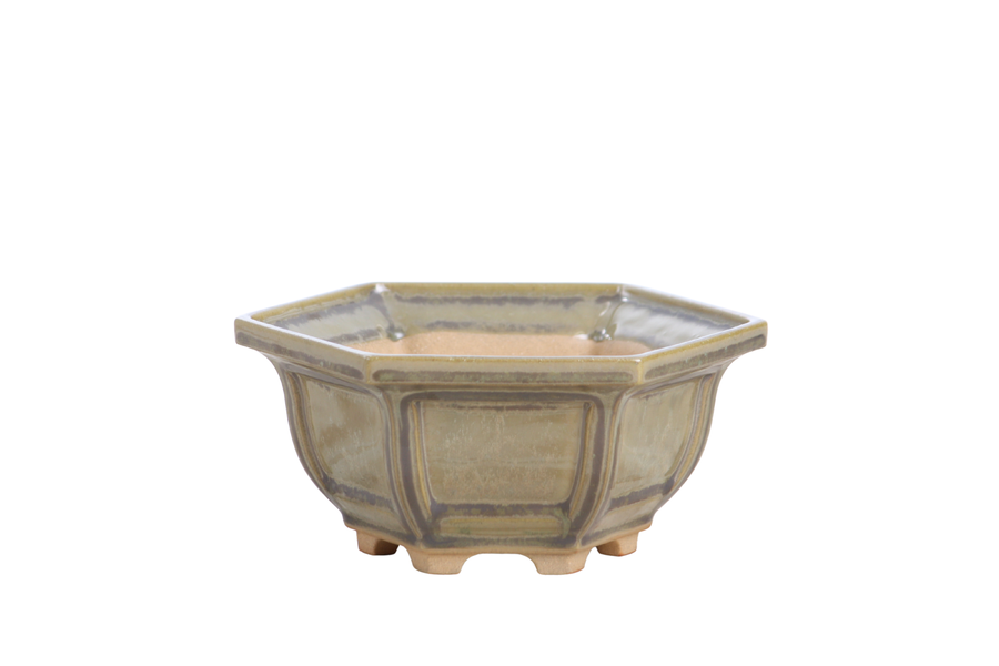 5-Inch Hexagonal Windowed Bonsai Pot - Copenhagen