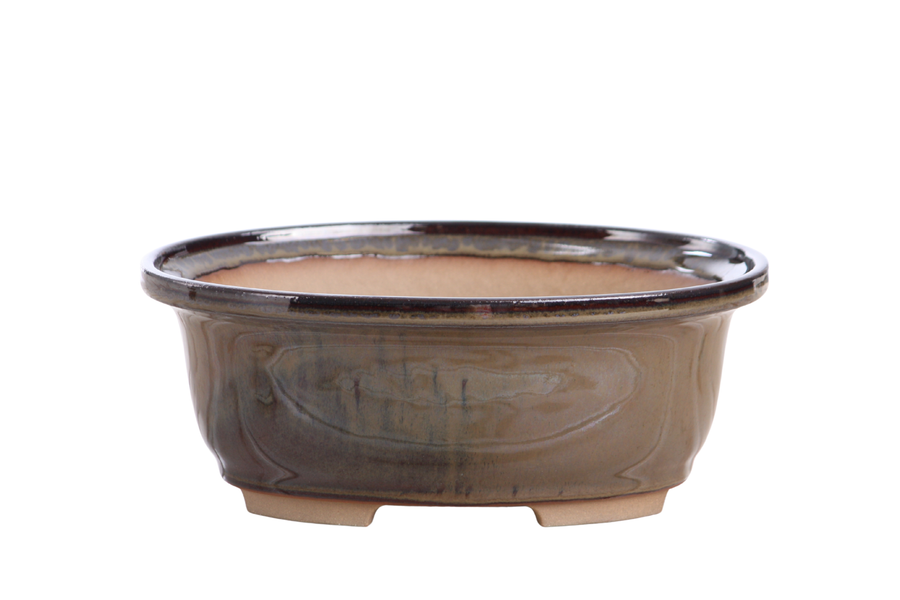 7.5-Inch Fat Oval Bonsai Pot - Dark Honey