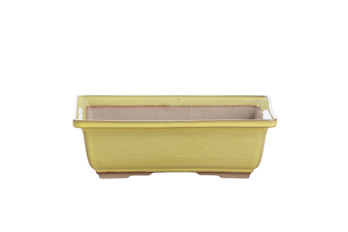 8-Inch Rectangle Bonsai Pot - Yellow
