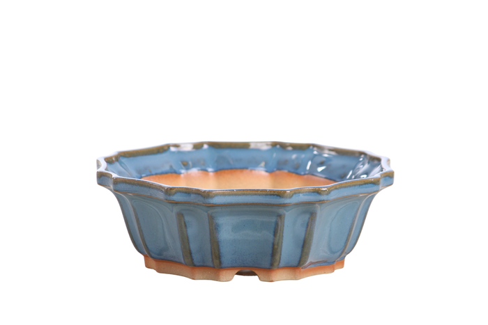 6.5-Inch Flower Bonsai Pot - Peacock 2025