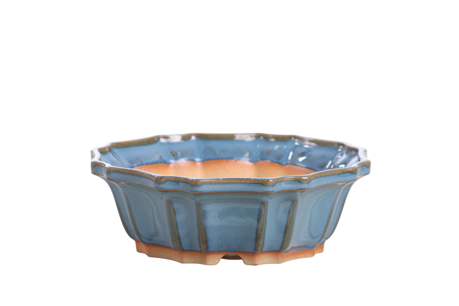 6.5-Inch Flower Bonsai Pot - Peacock 2025