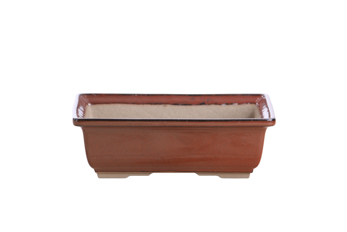8-Inch Rectangle Bonsai Pot - Sunset