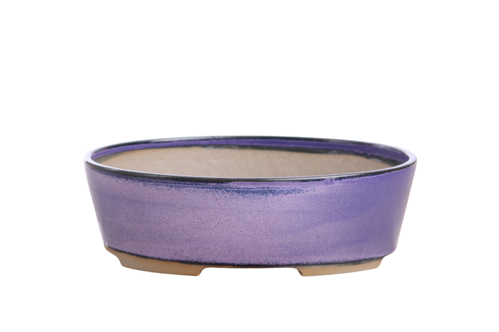 8-Inch Oval A Bonsai Pot - Purple
