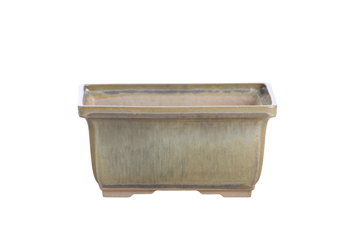 6-Inch Rectangle Deep Bonsai Pot - Copenhagen