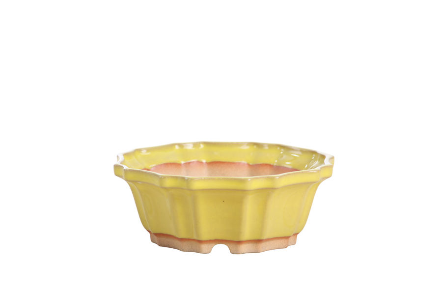 5-Inch Flower Bonsai Pot - Yellow