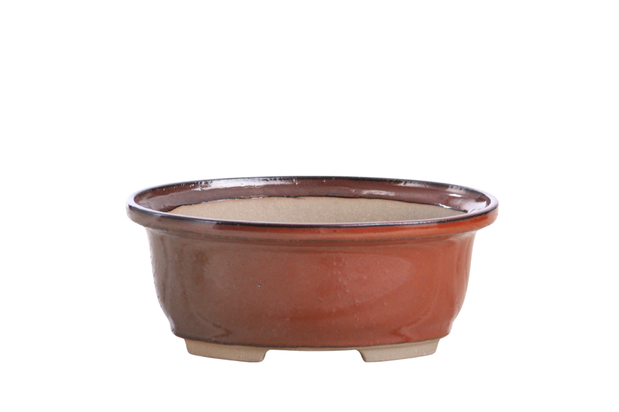 6.5-Inch Fat Oval Bonsai Pot - Sunset