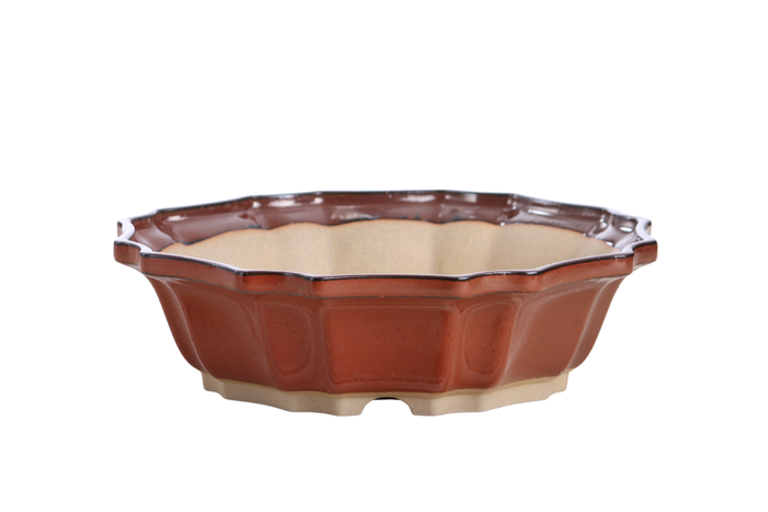 10-Inch Flower Bonsai Pot - Sunset