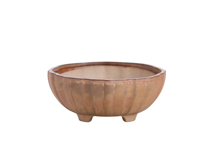 6-Inch Lily Bonsai Pot - Deep Stone