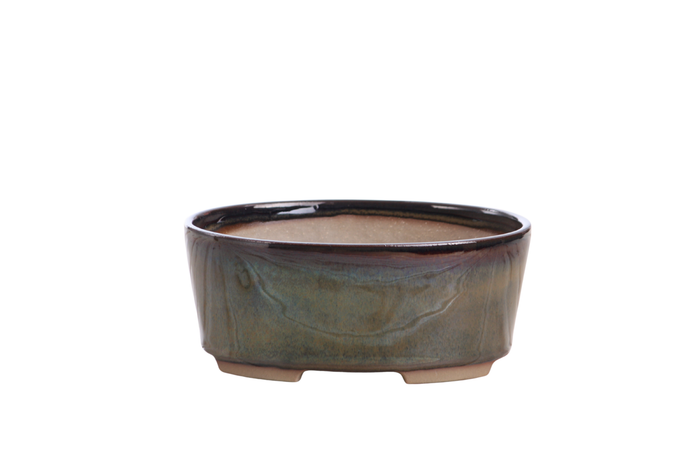 6-Inch Oval A Bonsai Pot - Dark Honey
