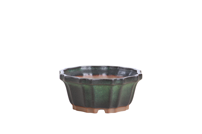 4.5-Inch Flower Bonsai Pot - Avocado