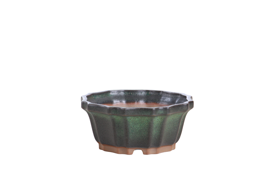 4.5-Inch Flower Bonsai Pot - Avocado