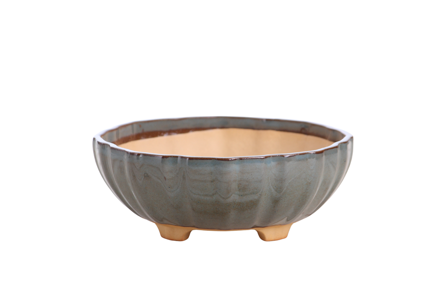 7-Inch Lily Bonsai Pot - Starry Night