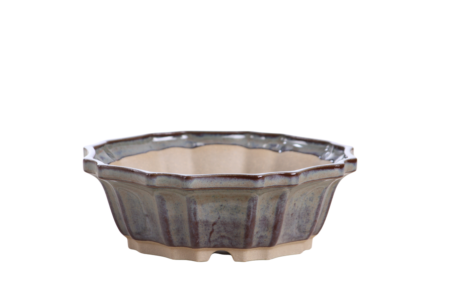 6.5-Inch Flower Bonsai Pot - Starry Night