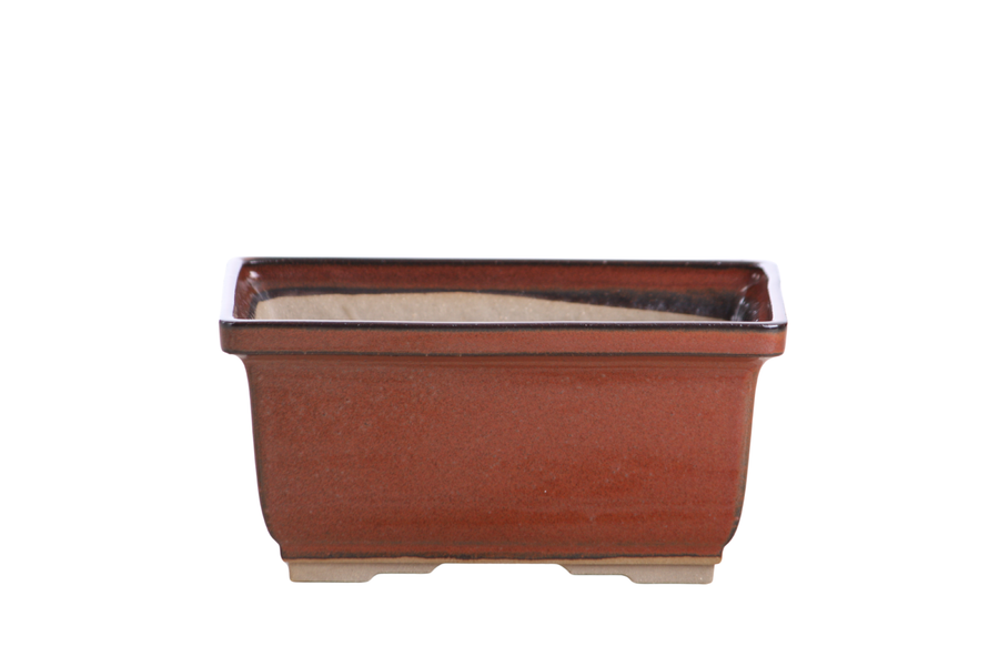 6-Inch Rectangle Deep Bonsai Pot - Sunset