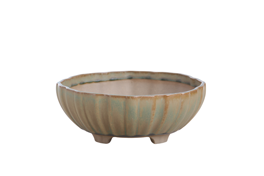 7-Inch Lily Bonsai Pot - Speckled Moss