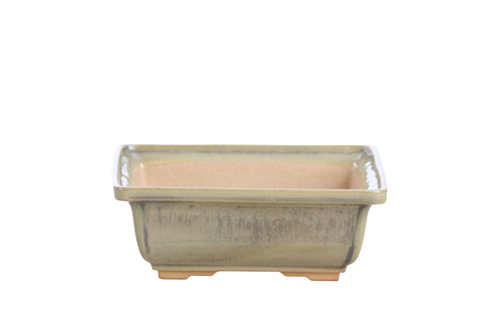 6-Inch Square Bonsai Pot - Copenhagen