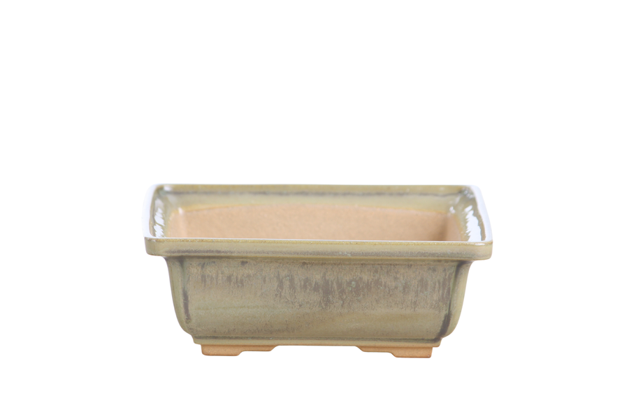 6-Inch Square Bonsai Pot - Copenhagen