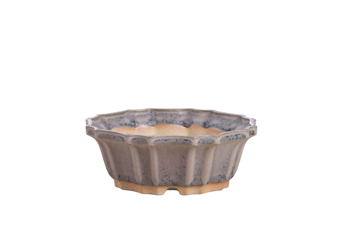 5-Inch Flower Bonsai Pot - Ocean
