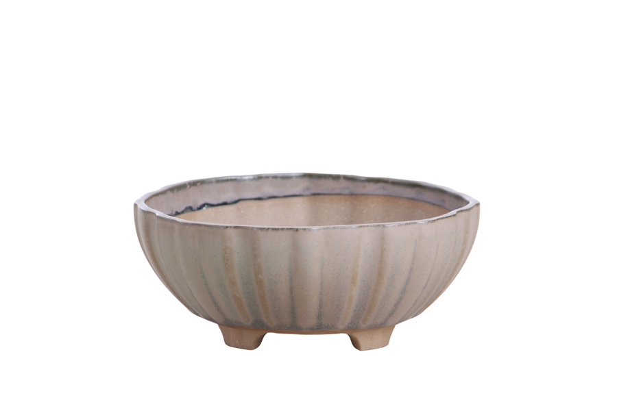 6-Inch Lily Bonsai Pot - Ocean