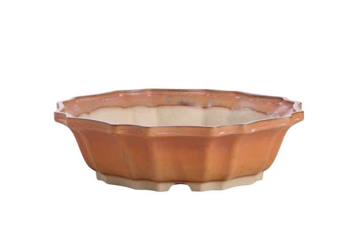 10-Inch Flower Bonsai Pot - Deep Stone