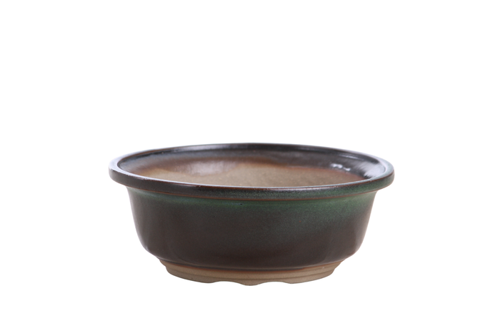 6-Inch Round Bonsai Pot - Avocado