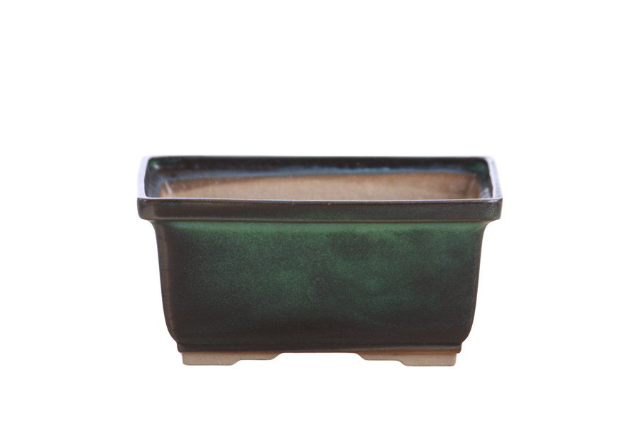6-Inch Rectangle Deep Bonsai Pot - Avocado