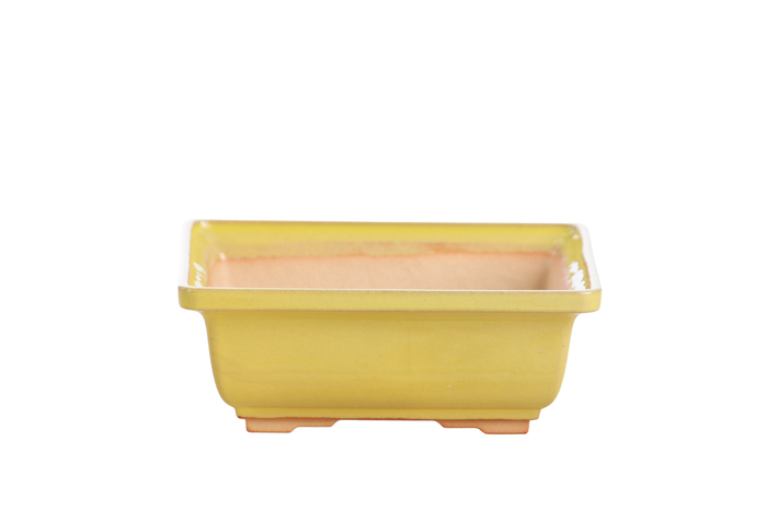 6-Inch Square Bonsai Pot - Yellow
